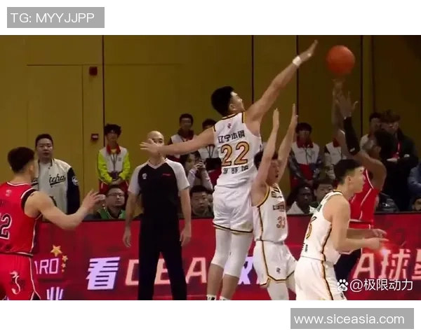 辽宁对决广东第19轮首节激战回顾精彩瞬间与战术分析